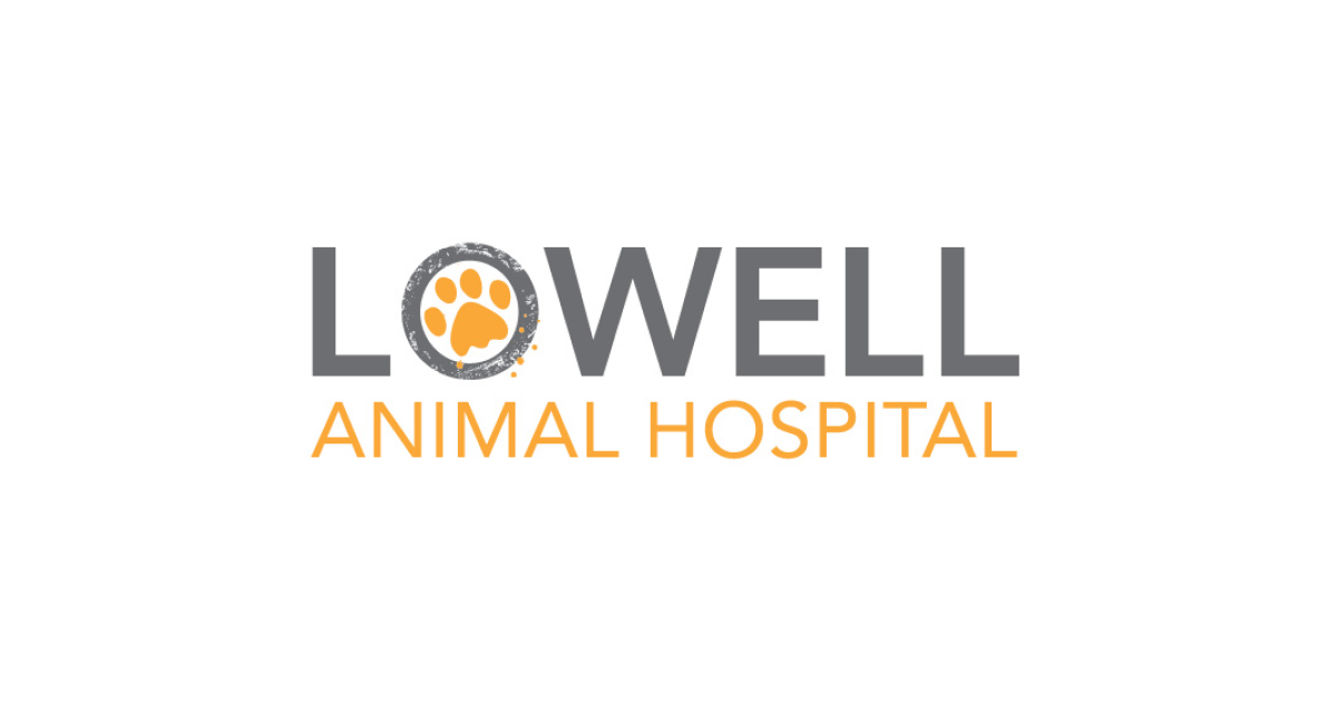 HighQuality Vet Hospital in Lowell, IN Lowell Animal Hospital